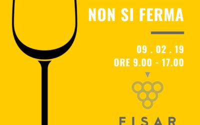 FISAR CATANIA: CHI SI FORMA NON SI FERMA!