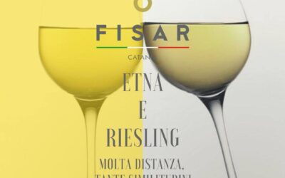 ETNA E RIESLING: MOLTA DISTANZA, TANTE SIMILITUDINI