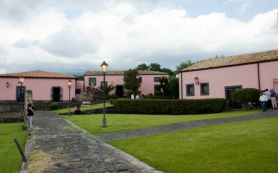 Solstizio d’Estate tra le vigne a Sud Ovest