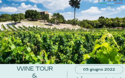 WINE TOUR E TASTING: TENUTA ZISOLA DI MAZZEI